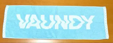 vaundy 로고 자카드 타월 라이트 블루 스카이블루