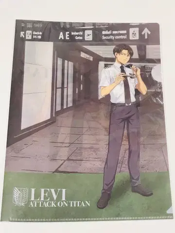 진격의 거인 리바이 클리어 파일 스타 플라이어