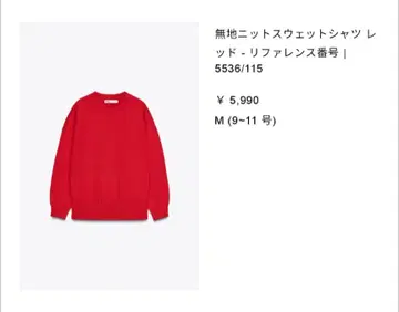 ZARA 자라 맨투맨