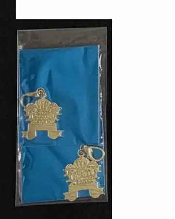 카가미 하야토 fantasia 참