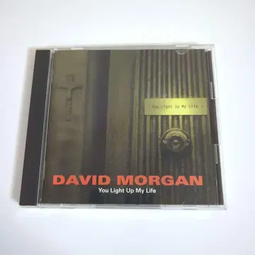 데이비드 모건 / 유 라이트 업 마이 라이프