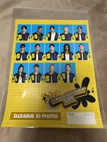 D리그 증명사진풍 시트씰 SEGASAMMYLUX