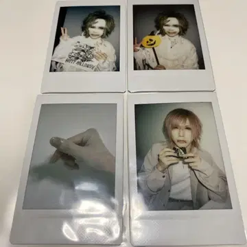 Royz  폴라로이드