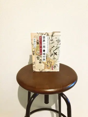 세계 일주 고양이의 여행