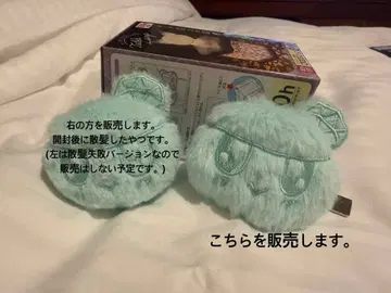 SEVENTEEN NEW_ 본봉이 키링 Osaka