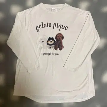 젤라또피케 강아지 긴팔