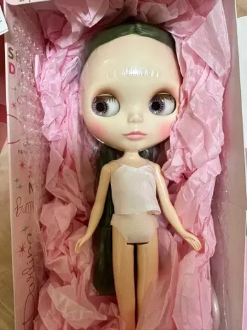 레이디 파나시아 본체만 네오 브라이스 미사용 새상품