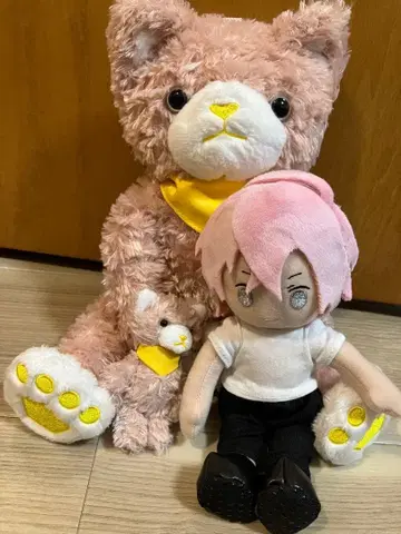 프린스캣 루틸 누이스타 테이 나기