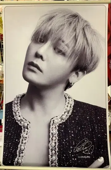 G.dragon 지용 BIGBANG 태피스트리 새상품