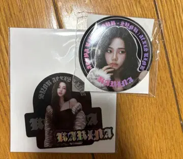 aespa 2025 LIVE TOUR 랜덤 토이 카리나 2세트