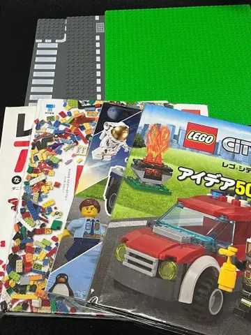 LEGO 아이디어 북 등 묶음 판매