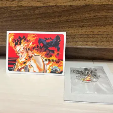 히로아카 원화전 엔데버 세트