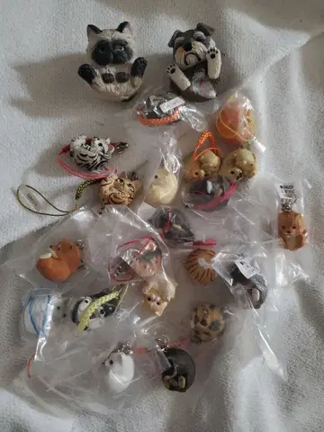 만마루 동물 고양이 개