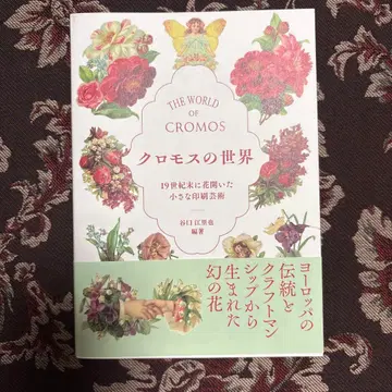 THE WORLD OF CROMOS 크로모스의 세계