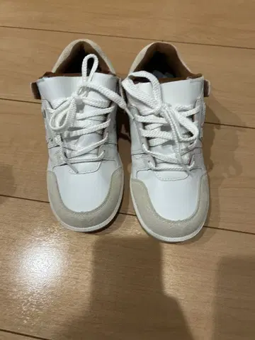 SANGACIO 반시 콜라보