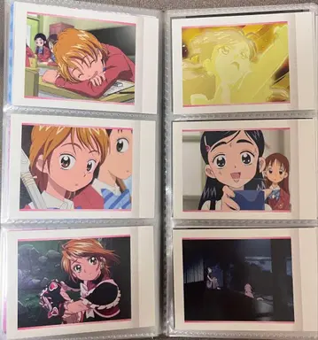 프리큐어 5 프리큐어 5GoGo! 빛의 전사 프리큐어 파샤 이것