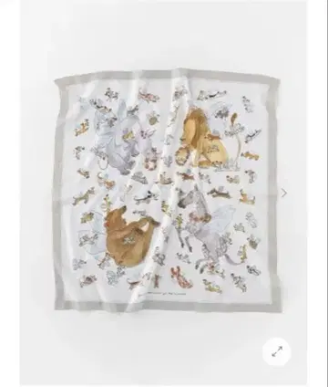 arts&science 예술과 과학 스카프 도메니카 모아 고든