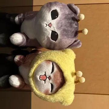 꿀벌냥 BIG 봉제 인형 ~돌진!~ 2개 세트