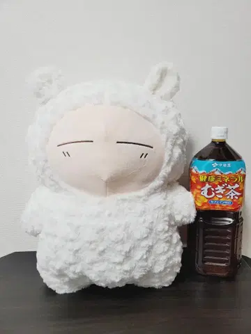 인류의 절반이 치이코가 된 BIG 봉제 인형