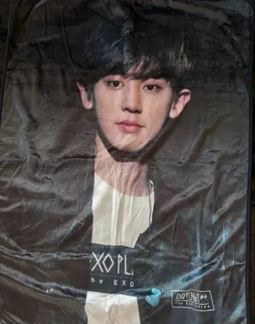 EXO 엑소 찬열 담요 타월