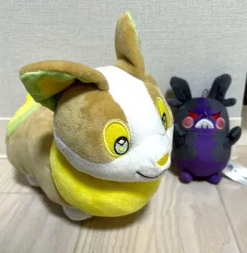 원래와 모르페코 세트