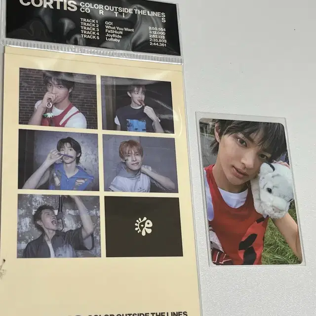 급처) 코르티스개봉앨범+건호앨범포카