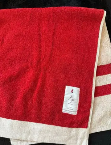 EXO 엑소 찬열 타월