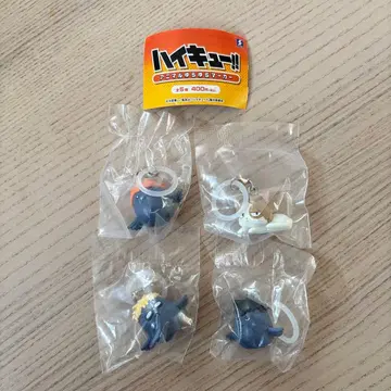 하이큐 애니멀 흔들흔들 마커 캡슐 토이