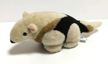 코아리쿠이 A-SHOW 영상 봉제 인형 애니멀 동물