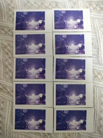 이레이스 실사 랜덤 폴라로이드풍 트레이딩 카드 2025 쇼토 10장 세트