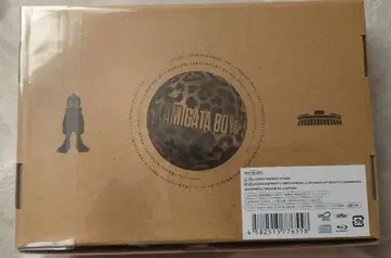 KAMIGATABOYZ 세상을 밝게 비춥시다