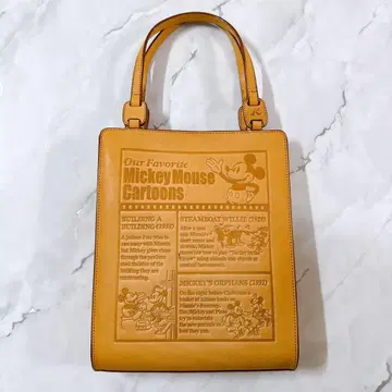 한정품 도쿄 디즈니랜드 키타무라 콜라보 백