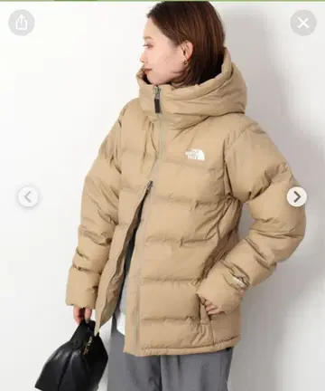 THE NORTH FACE 빌레이어 파카 Belayer Parka