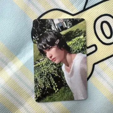 RIIZE B&N 한정판 혜택 US반 미국 트레이딩 카드 원빈