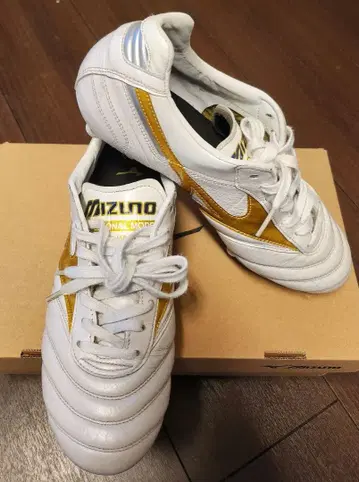 모렐리아 2 재팬 한정 컬러 25cm