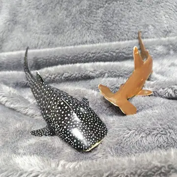 바다 생물 favorite 피규어 세트