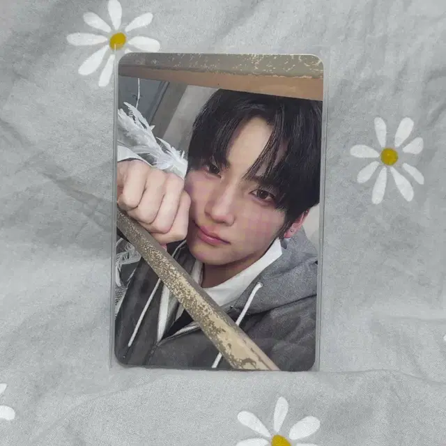 앤팀 유마 백투랖 앨범 게이즈 버전 포카 양도 백투라이프 앨범 gaze