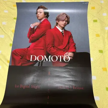 DOMOTO 포스터 B2
