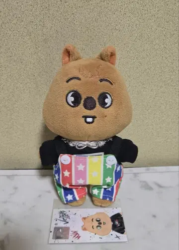 Stray Kids MINI PLUSH 15cm HAN QUAKKA