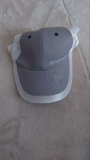 렉서스 그레이 화이트 캡