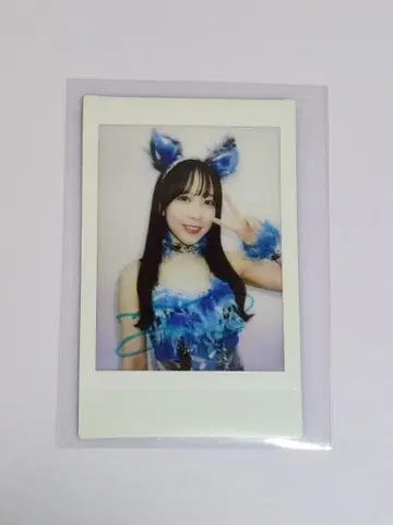 코미나토 요츠하 친필 사인 폴라로이드 01