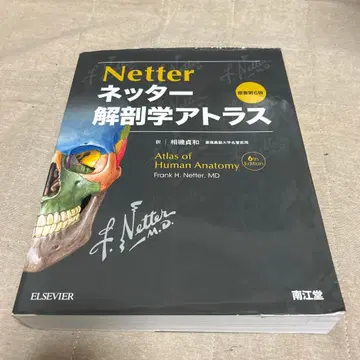 네터 해부학 아틀라스