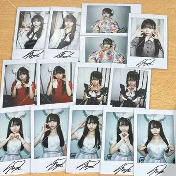 잼즈 미나세 사라라 폴라로이드 14장 세트