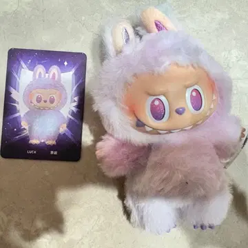 러브브 lack 보라색 화이트