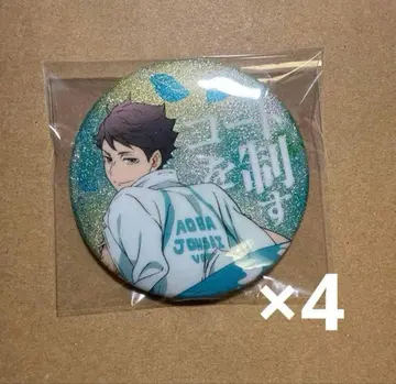 하이큐 횡단막 글리터 캔뱃지 세트 오이카와