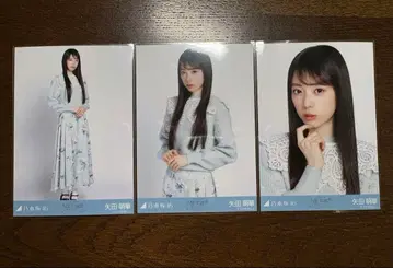 노기자카46 야타 모에카 카라 부착 코디 브로마이드 3종 컴프