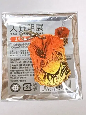 아마노 아키라 전시회 REBORN! 메탈릭 아크릴 참 사와다 츠나요시