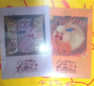 부스터 에브이 클리어 파일 이브이 컬렉션 2장