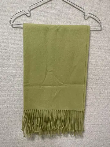 투모로우랜드 피스타치오 컬러 프린지 스톨