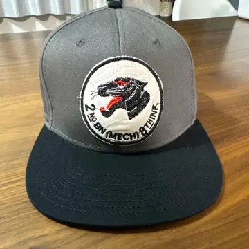 2ND BN (MECH) 8TH INK. 야구 모자